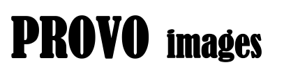 provo's logo
